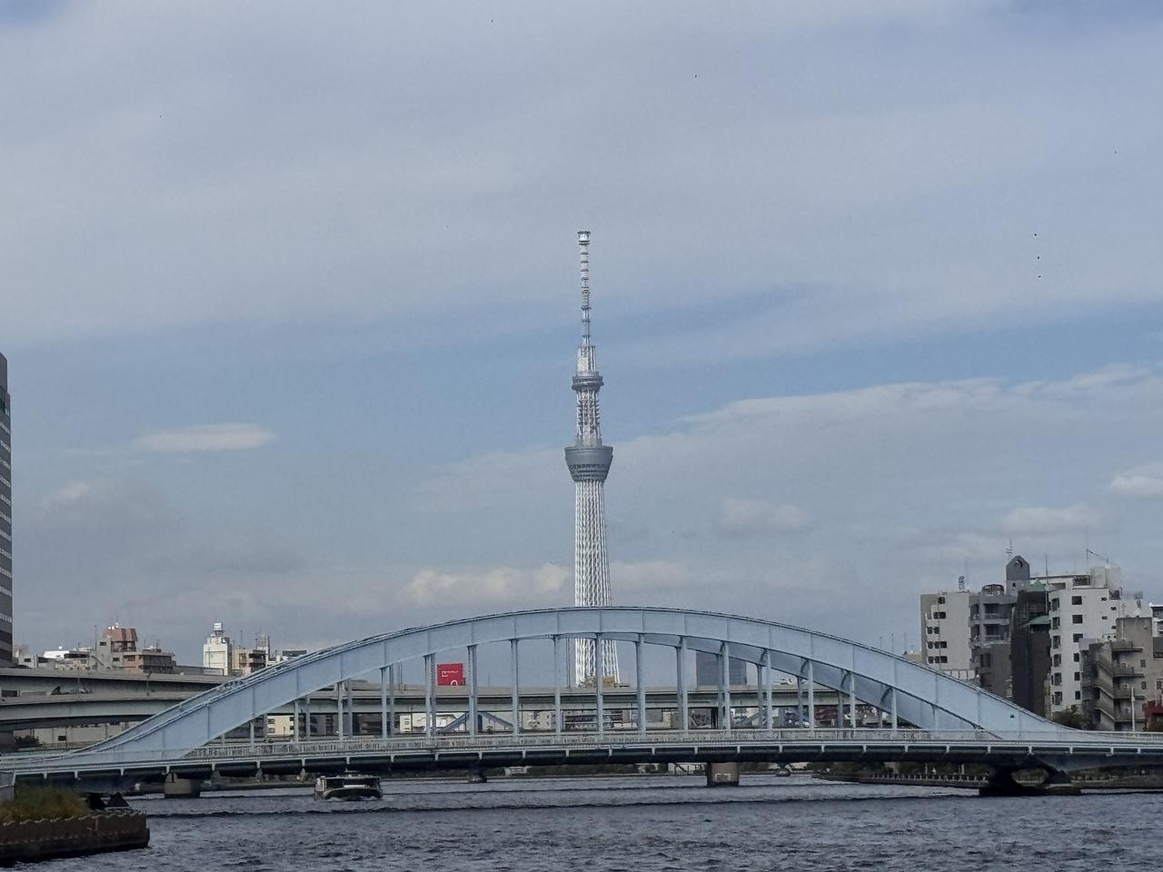 画像4: 屋形船でいただく、プレミアム寿司ランチ