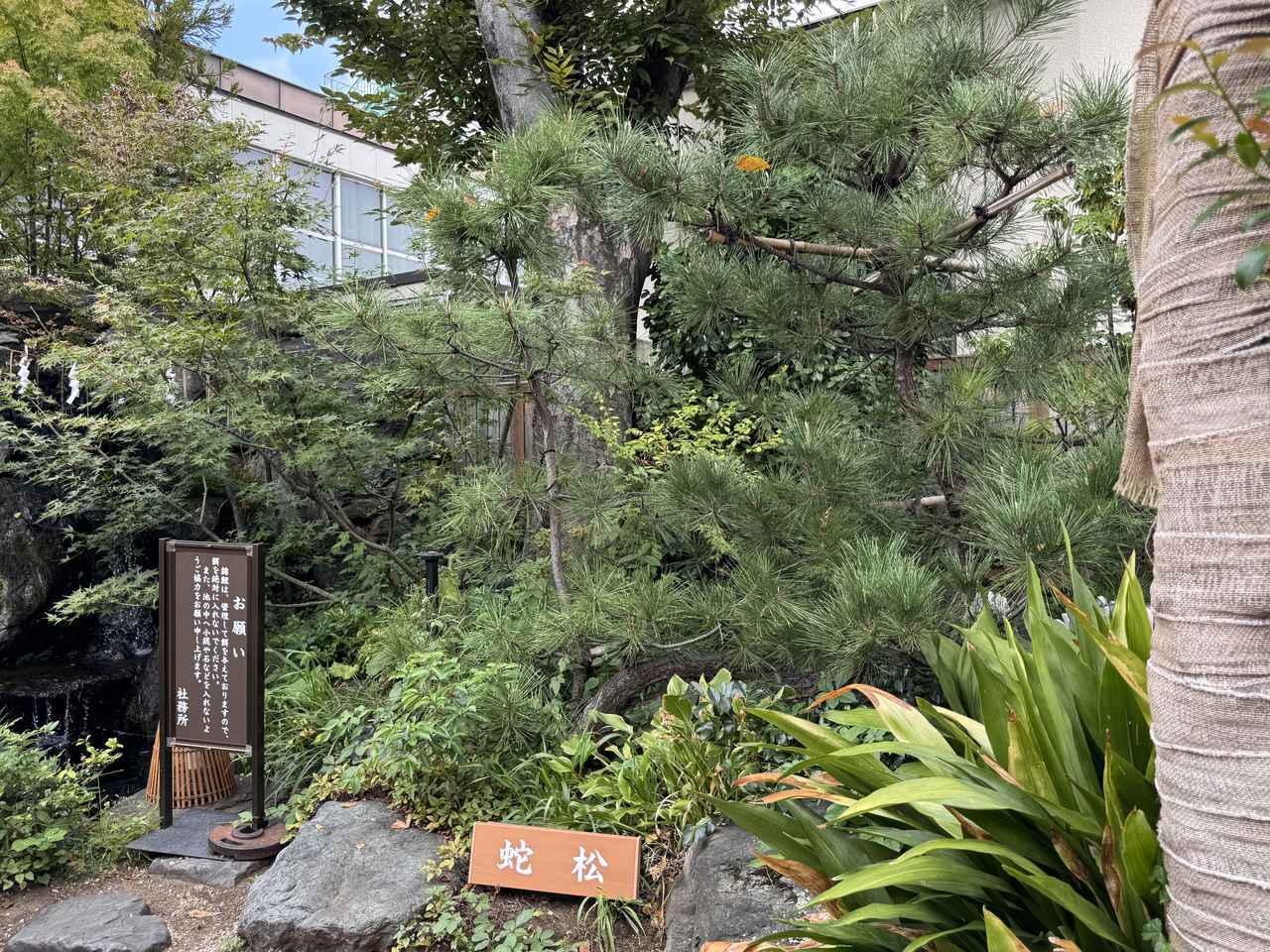 画像14: 秋の開運旅♡蛇窪神社✖伝統屋形船で“ご利益”を味わう贅沢な一日