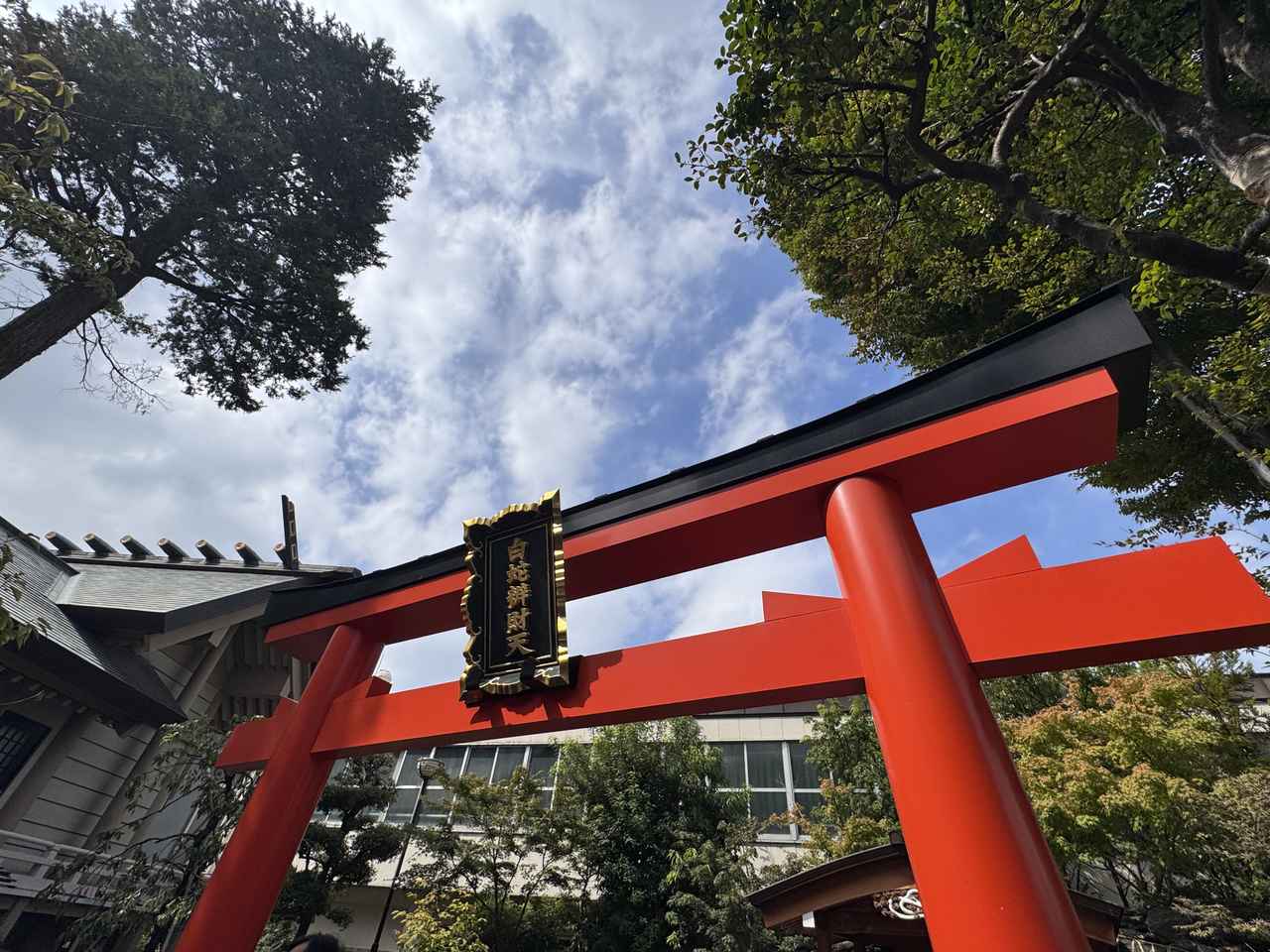 画像13: 秋の開運旅♡蛇窪神社✖伝統屋形船で“ご利益”を味わう贅沢な一日