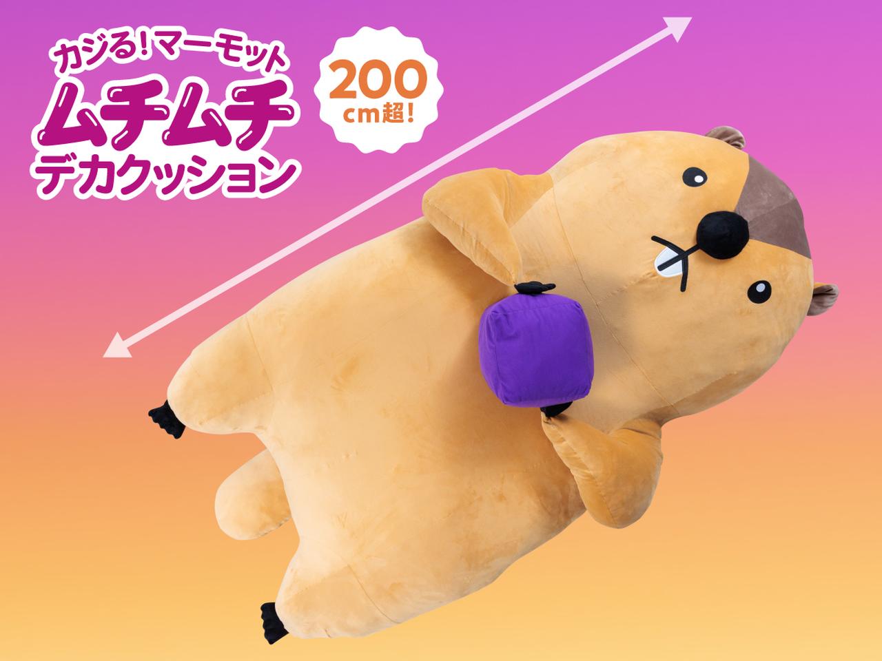 画像: 「カジる!マーモット」巨大クッションが当たる!