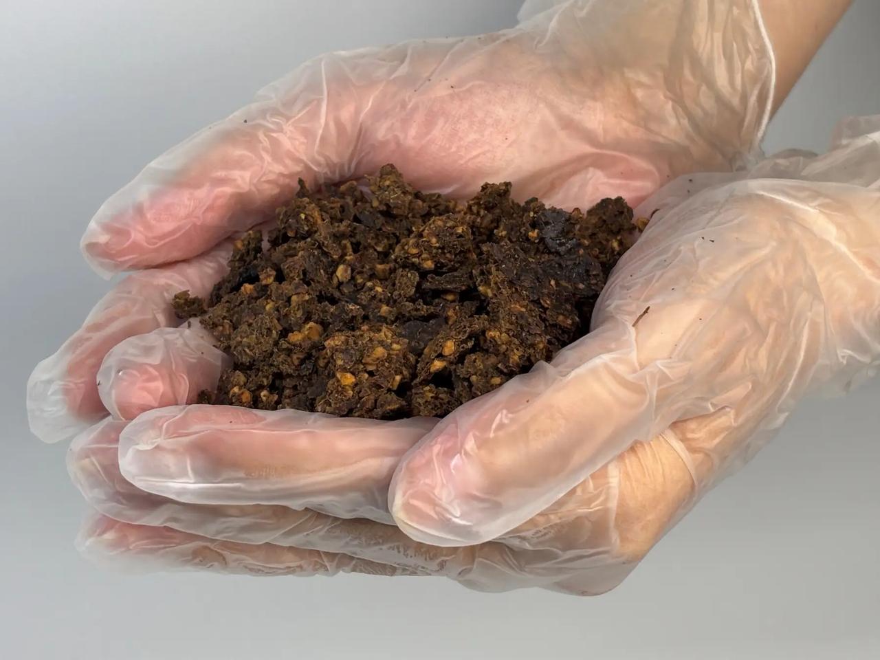 画像: 原料となるオリーブポマス ※1:マイルドローション及びマイルドローションⅡ:酵母エキス(１)／エッセンシャルクリーム:サッカロミセス(オリーブ果実/ス クロース)発酵液、いずれも保湿成分　※2:キメを整えることによる　※3:オリーブ果実油/エモリエント成分