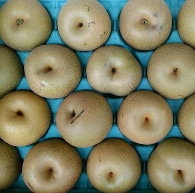 画像3: 産地・品種おまかせの和梨が人気上昇