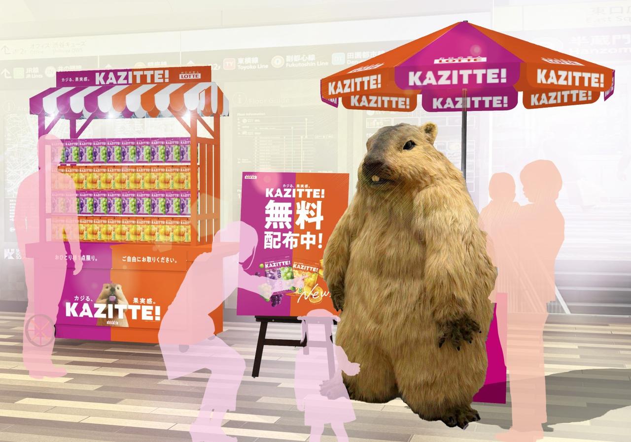 画像: 「カジる!マーモット」が街中に出没!