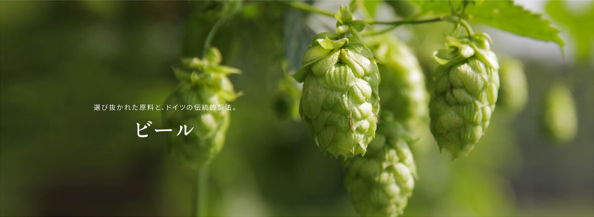 画像: ビール | びっくりドンキー