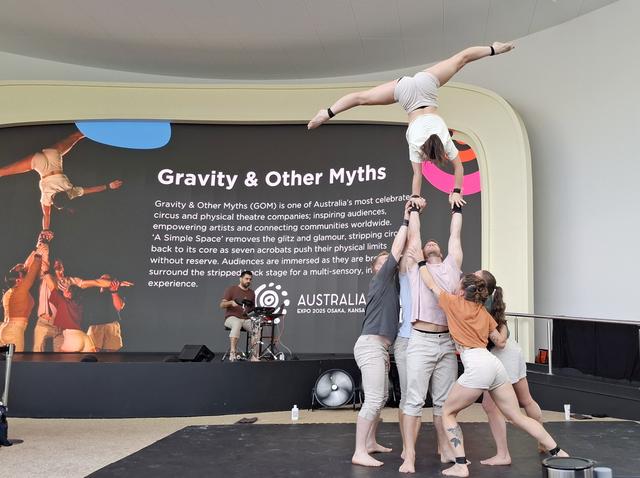 画像1: GOMサーカス