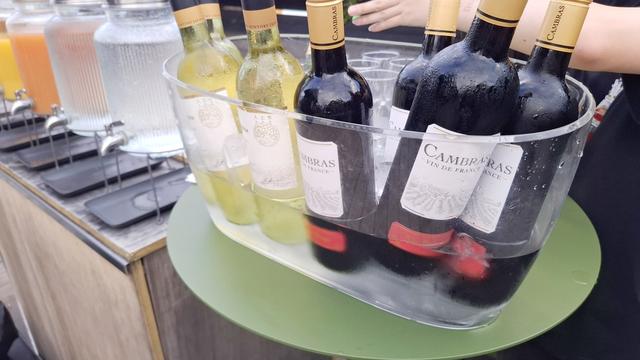 画像6: 北欧・関西ビジネスアライアンス 発表セレモニー