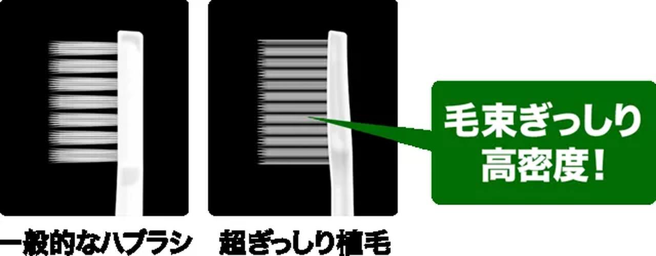 画像3: 歯ぐきケアにじんわり温感革命♡花王「ディープクリーン 薬用温感ハミガキ」新発売