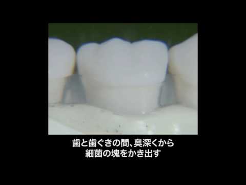 画像2: - YouTube youtu.be