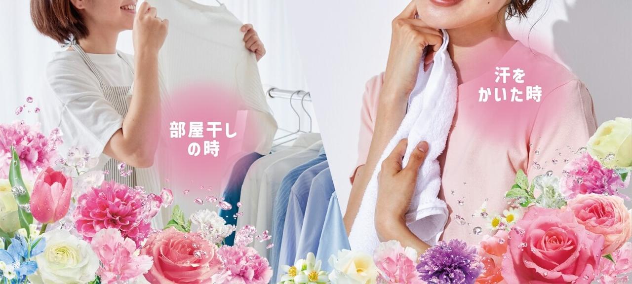 画像1: soflan.lion.co.jp