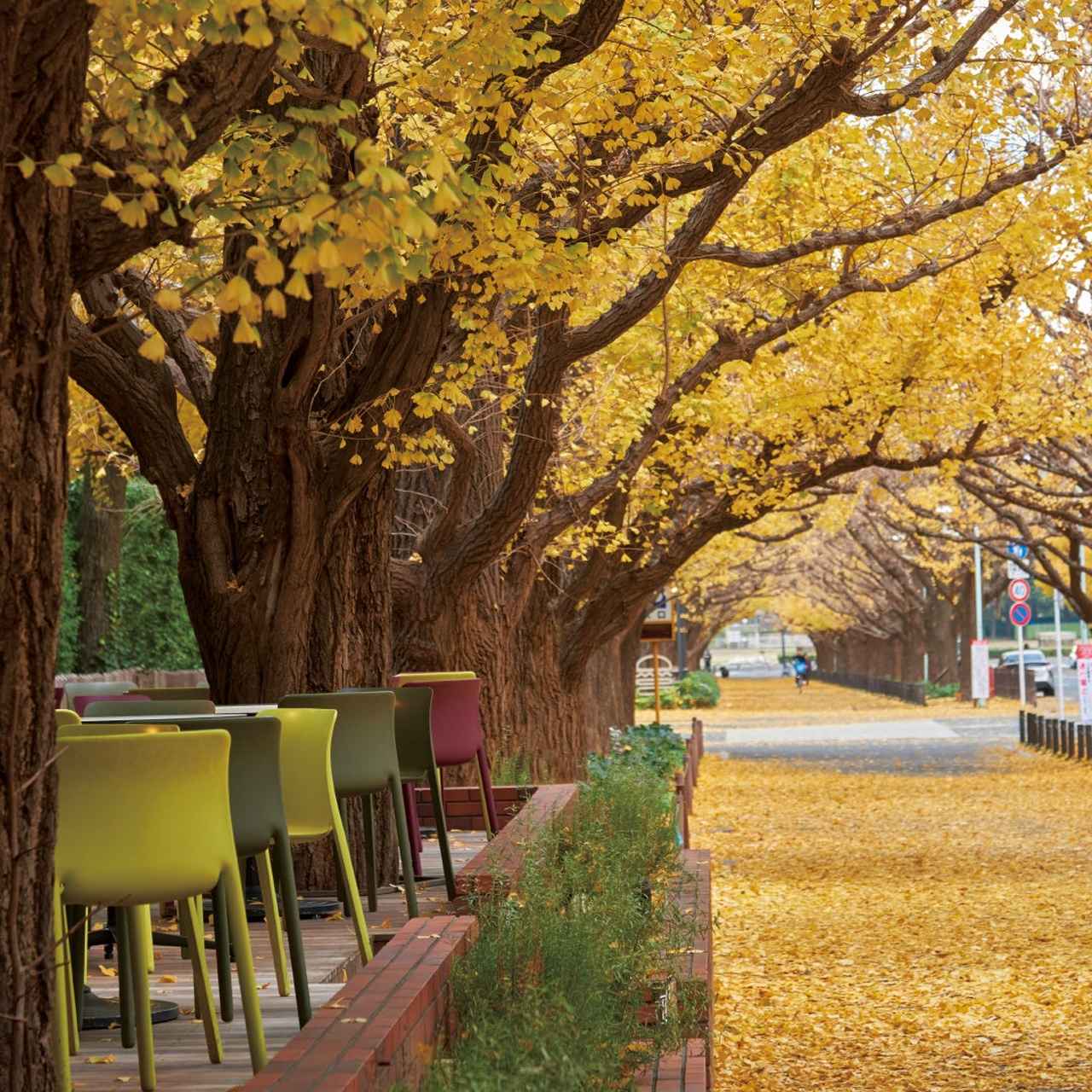 画像: 秋限定の美食と景観が楽しめる、青山の特等席