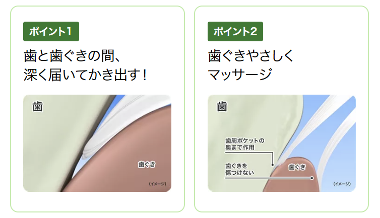 画像4: 歯ぐきケアにじんわり温感革命♡花王「ディープクリーン 薬用温感ハミガキ」新発売