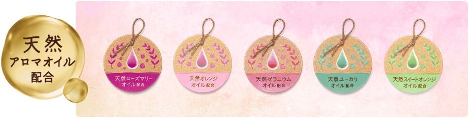 画像2: soflan.lion.co.jp