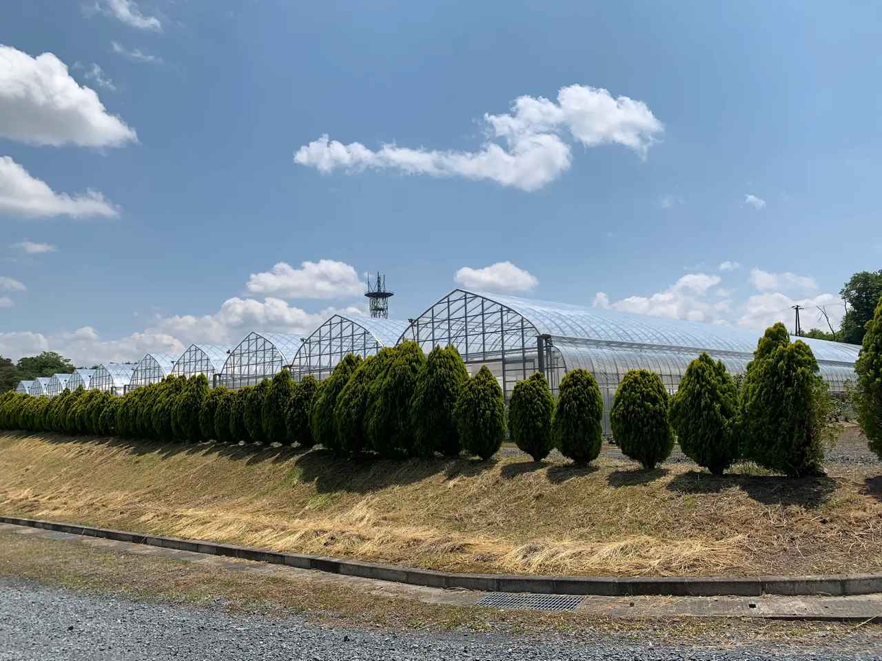 画像: ナリス ローズガーデン