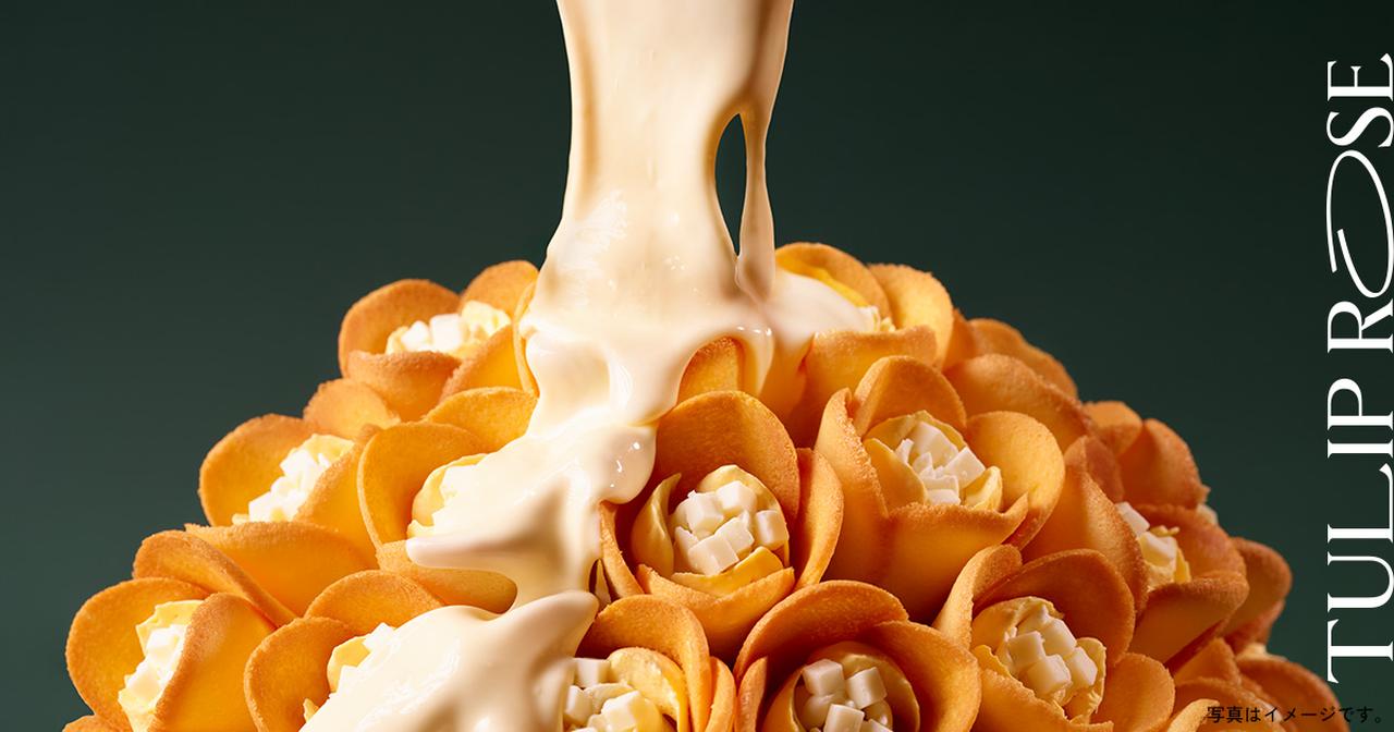 画像: チューリップローズ|TOKYO TULIP ROSE