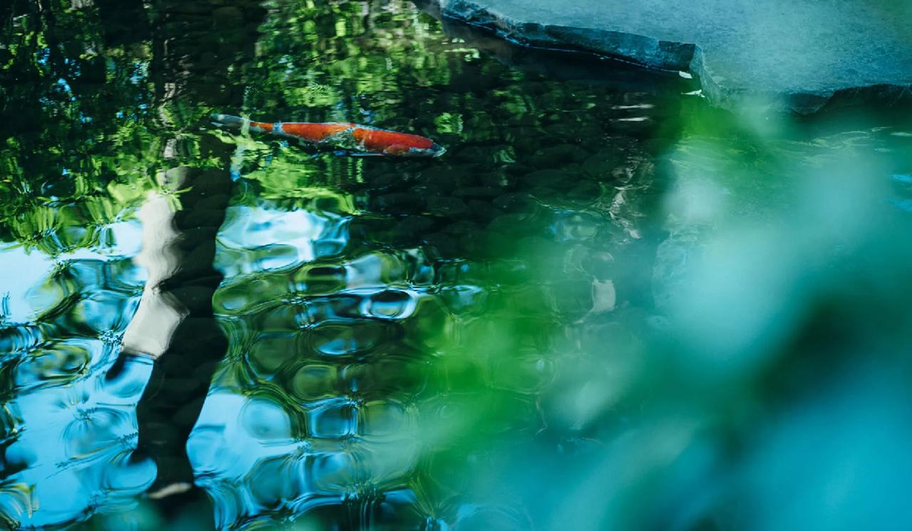 画像1: 八芳園の新たな挑戦と、祝福のかたち