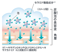 画像: 独自開発「高吸着セラミドケア*¹技術」イメージ図