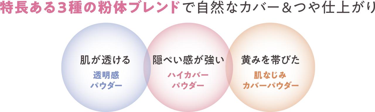 画像1: 【仕上がり・カラー展開】