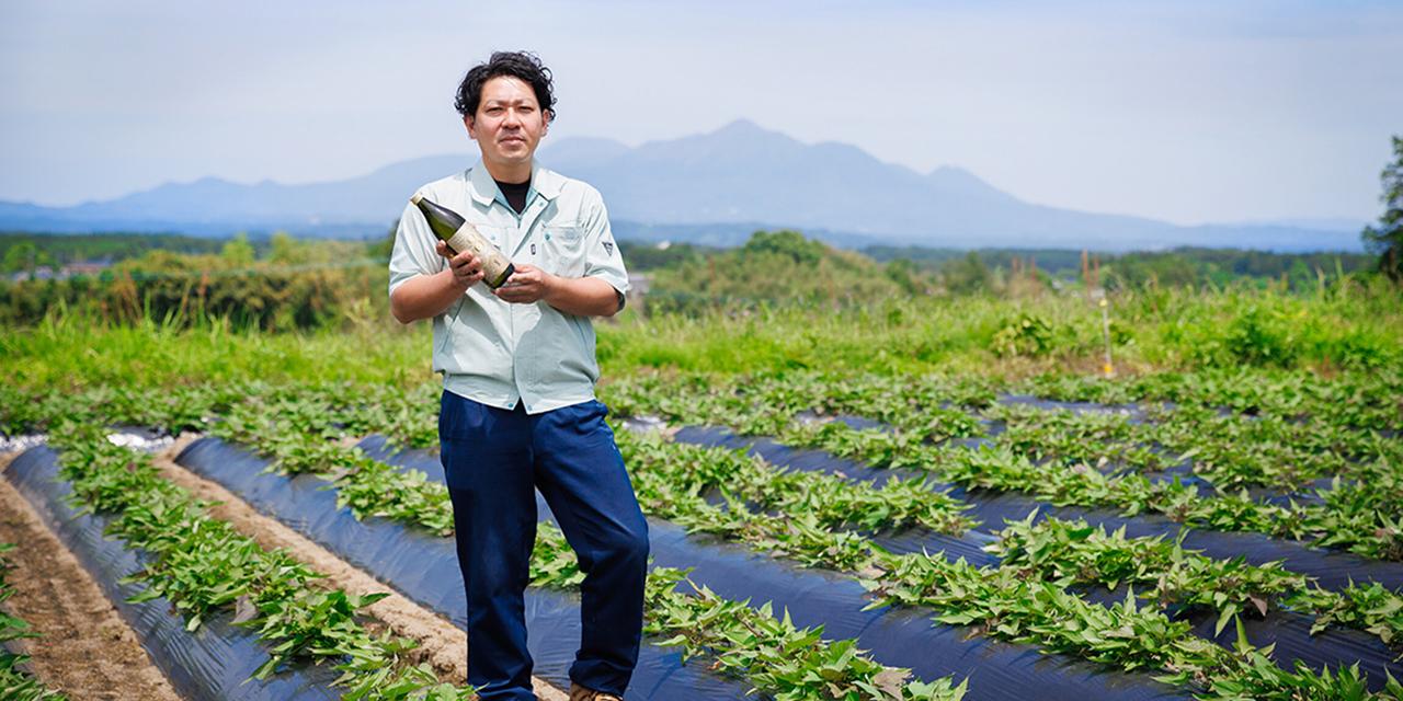 画像: さつまいもの品種開発から切り拓く、芋焼酎の無限の可能性。 | 開発秘話 | クロキリクロニクル | 霧島酒造株式会社