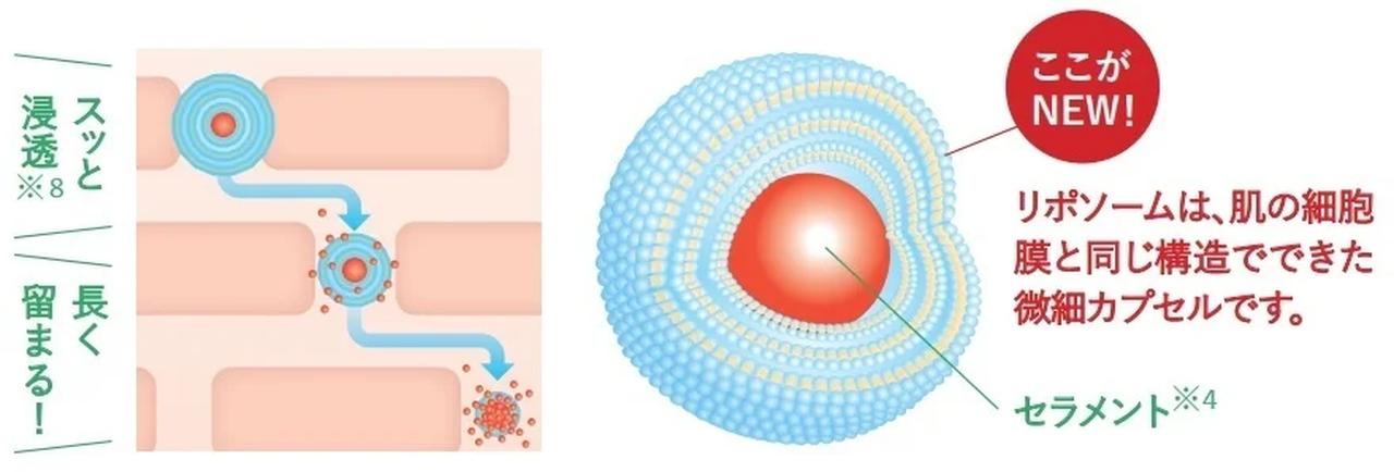 画像: 217種の美肌因子×リポソーム技術で、肌に深く届く