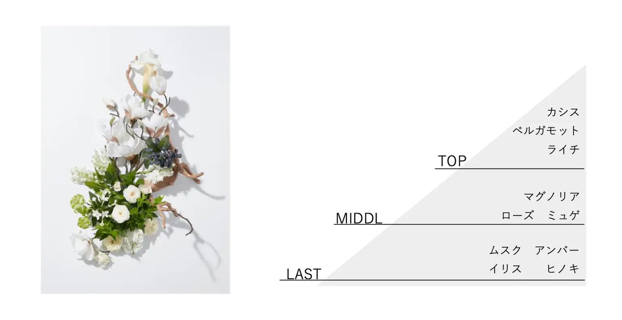 画像: ＜共通 POINT＞