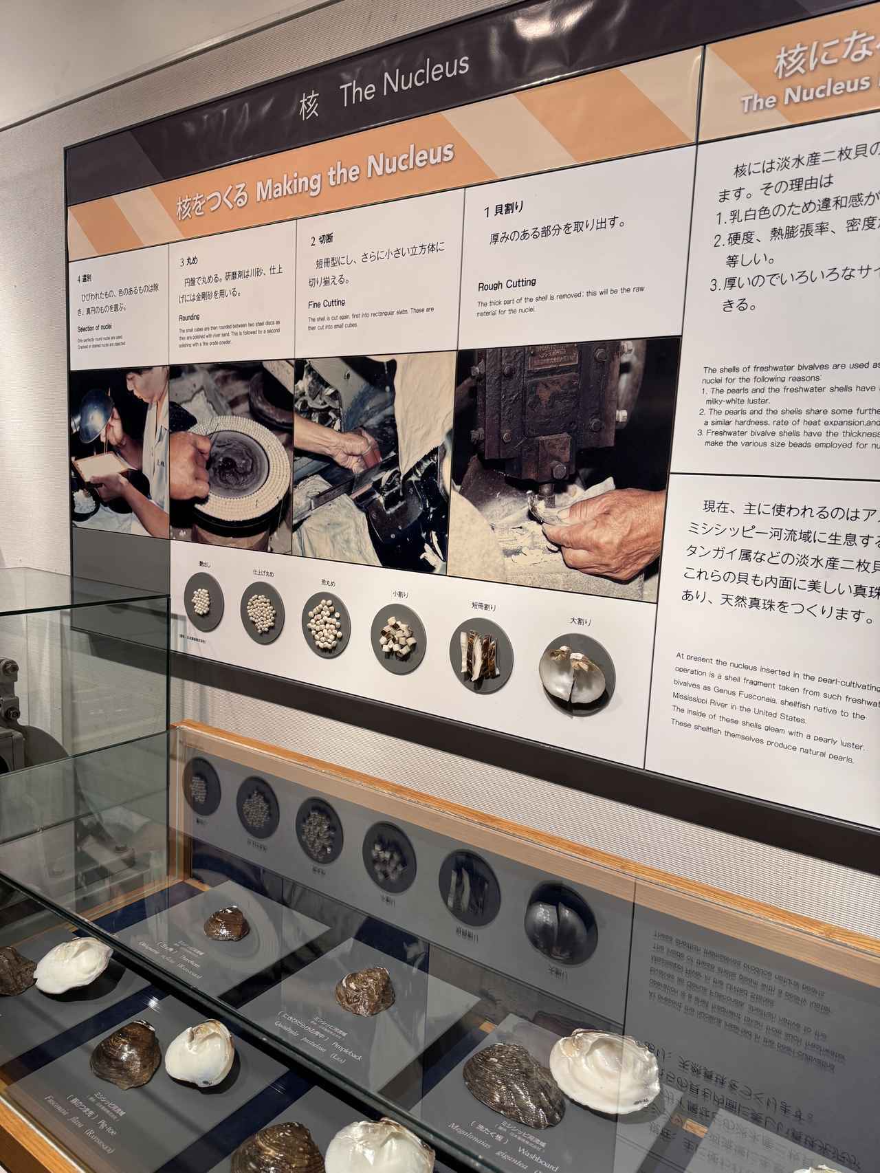 画像16: 【工場ツアー体験記】“Effortless Beauty”の舞台裏へ♡LINK+Uの美しさは海藻から生まれる