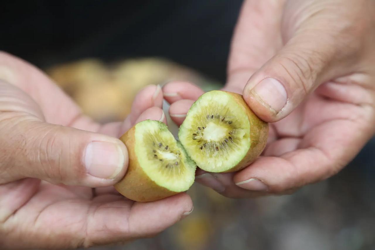 画像: 和三盆のような甘さと、すっきり炭酸の余韻