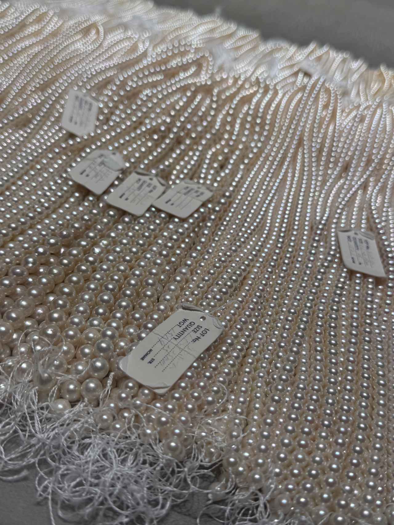 画像11: 【工場ツアー体験記】“Effortless Beauty”の舞台裏へ♡LINK+Uの美しさは海藻から生まれる