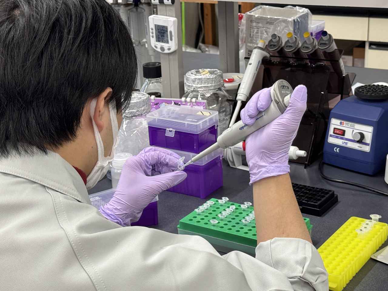 画像7: 【工場ツアー体験記】“Effortless Beauty”の舞台裏へ♡LINK+Uの美しさは海藻から生まれる