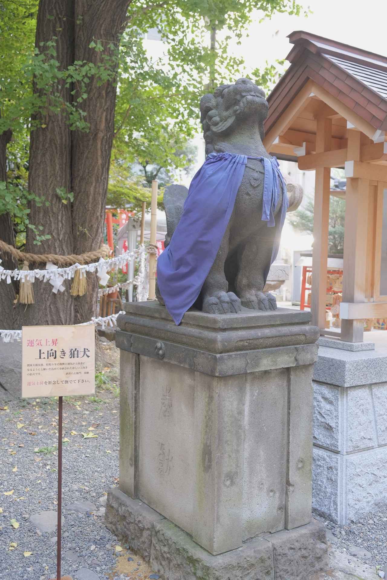 画像: 日本橋日枝神社② 万治年間（1658～1661年）作という石鳥居の先にある珍しい上向きの狛犬。関東大震災の復興と運気上昇を願って奉献されたため、上を向いているのだそう。上を向いて運気上昇！！