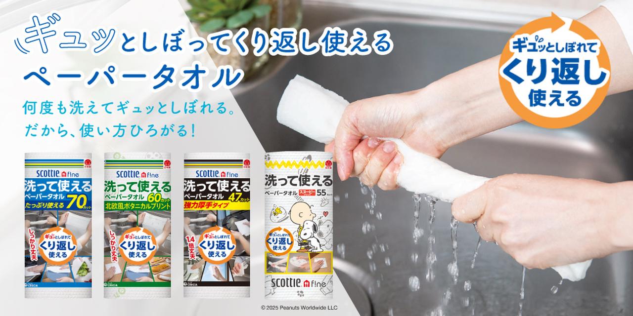 画像: 2「スコッティファイン」