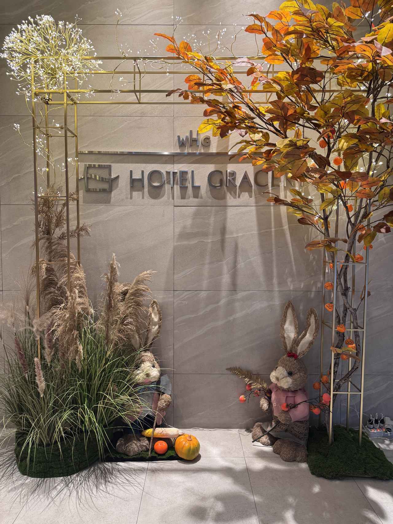 画像5: 【韓国宿泊レポ】ホテルグレイスリーソウルで“ちょっと嬉しい”が詰まった滞在を