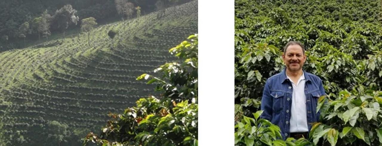 画像2: 2025年新作の魅力：発酵豆×産地の個性