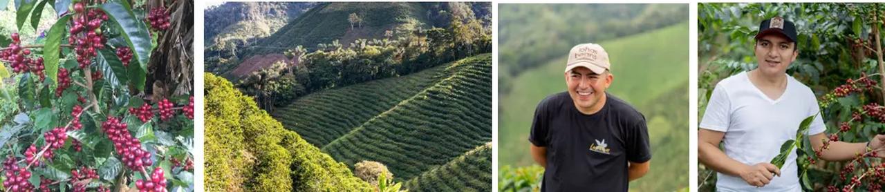 画像1: 2025年新作の魅力：発酵豆×産地の個性