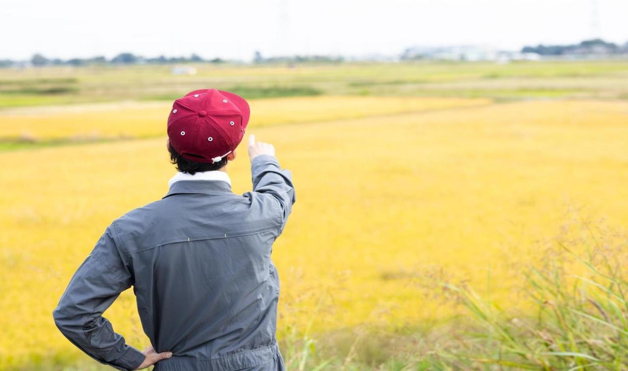 画像1: コメ高騰の中で「Temu」を活用 食品小売業者TOKKAが切り拓く新たな販路