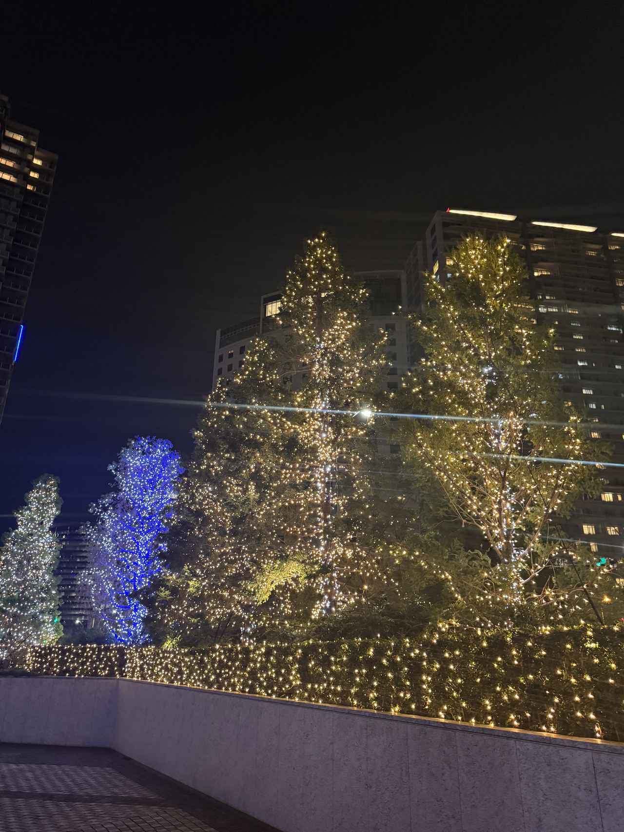 画像13: 「ザ・カハラ・ホテル＆リゾート 横浜」で過ごす甘美なクリスマスの午後♡「クリスマスアフタヌーンティー」が期間限定で登場