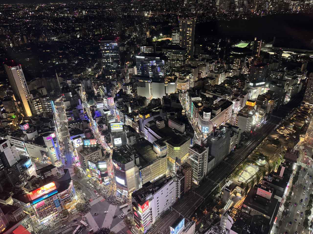 画像2: 渋谷の空で出会う、特別な冬のひととき