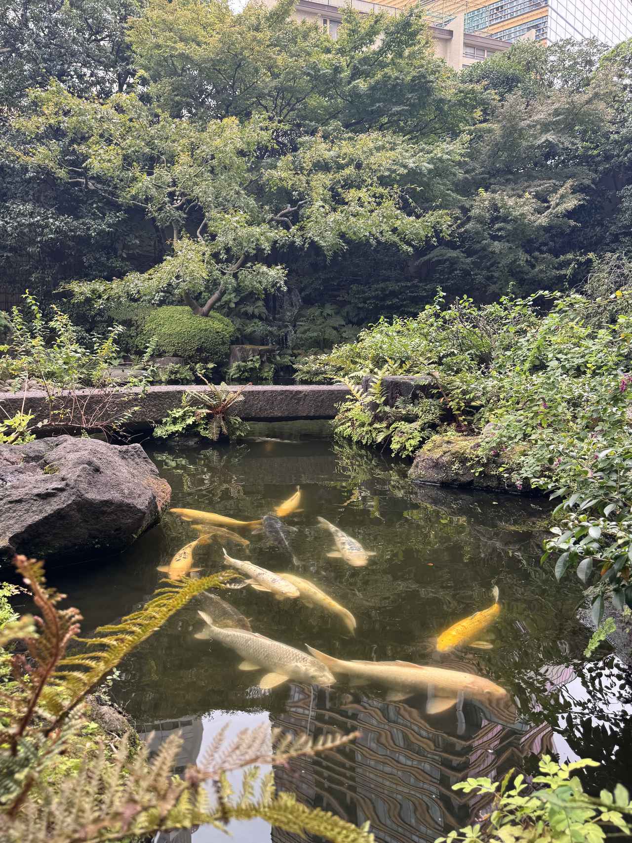 画像9: 日本庭園を眺めながら秋の味覚に舌鼓♡【ANAインターコンチネンタルホテル東京】「雲海」で過ごす美食のひととき