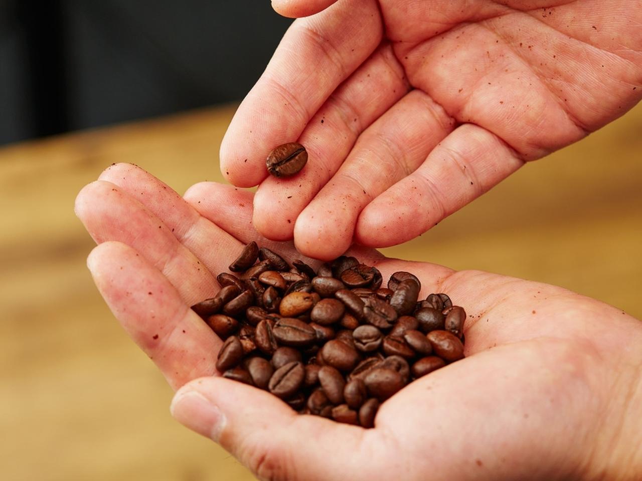 画像2: 「これからの1杯」に出会う♡モンカフェがサステナブルに進化!40年のこだわりが未来の美味しさへ。