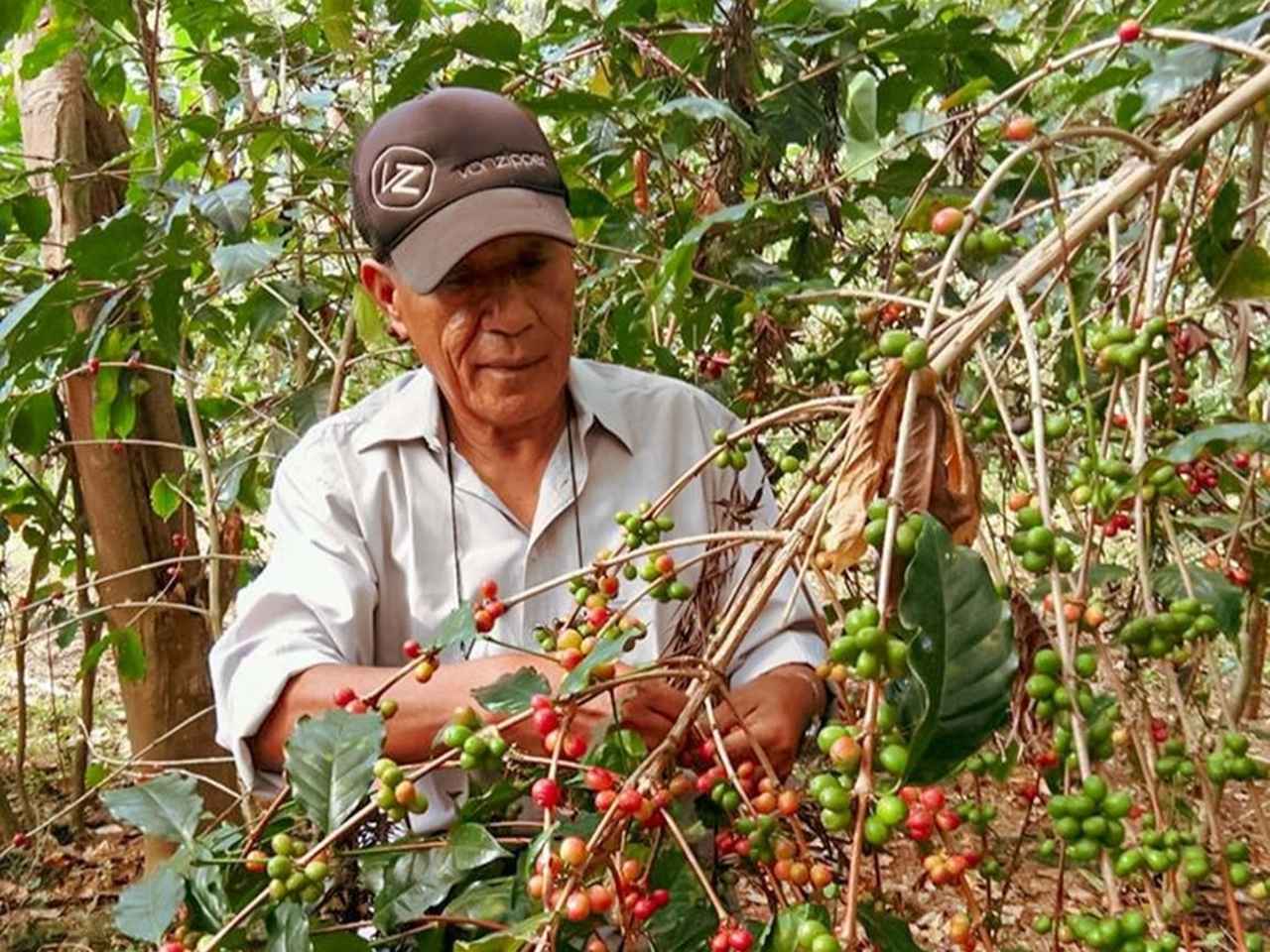画像1: 「これからの1杯」に出会う♡モンカフェがサステナブルに進化!40年のこだわりが未来の美味しさへ。
