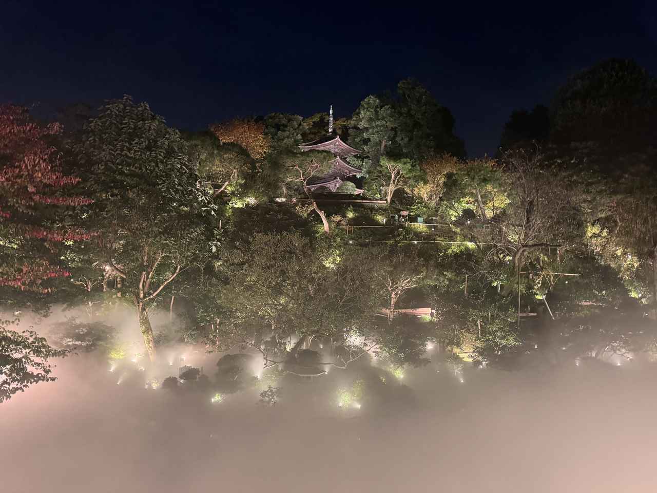 画像4: 光と静寂の冬夜♡『ムーミン谷の冬』✖ホテル椿山荘東京「森のオーロラと東京雲海」11月11日より幻想的に開幕