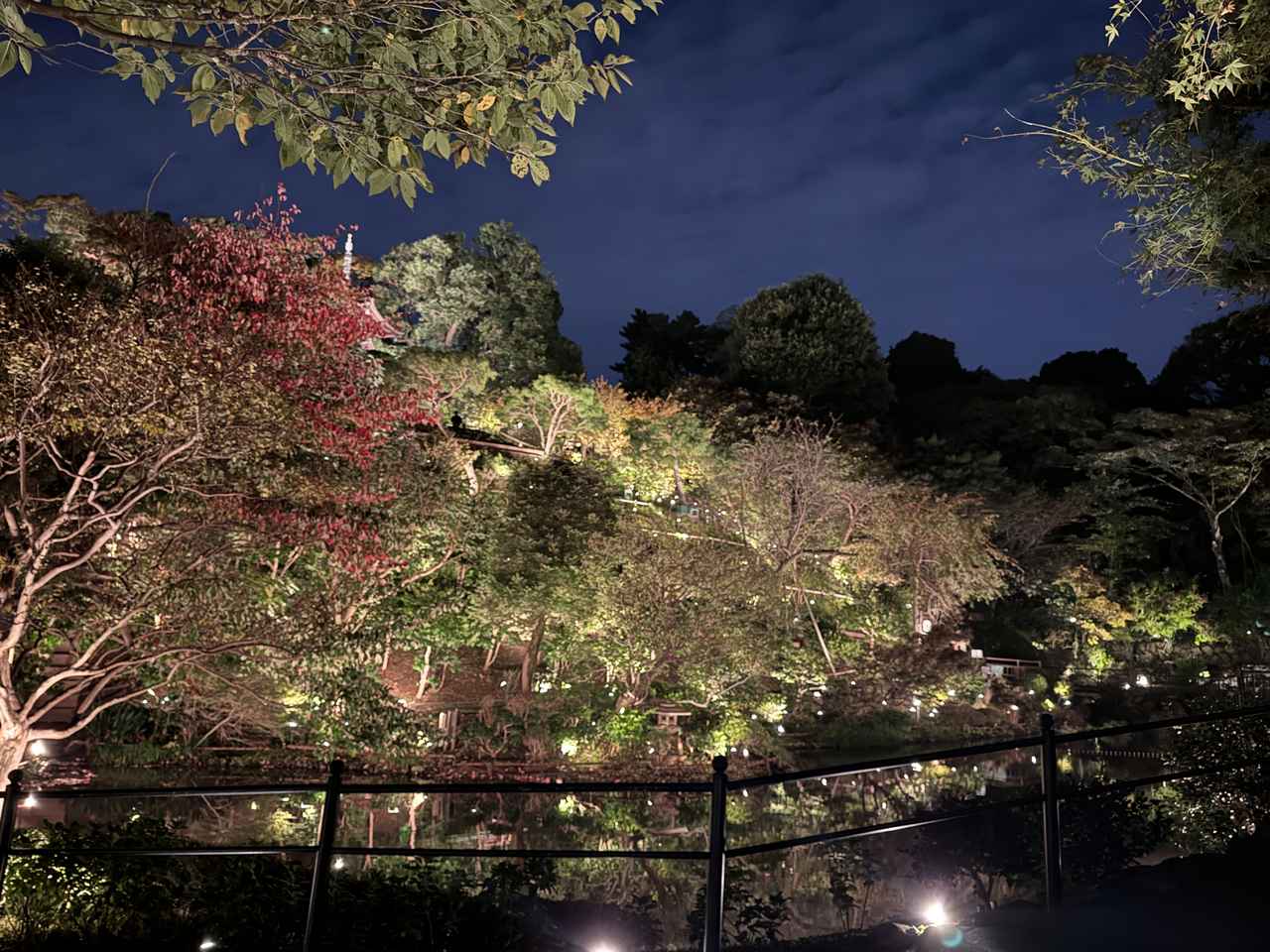 画像3: 光と静寂の冬夜♡『ムーミン谷の冬』✖ホテル椿山荘東京「森のオーロラと東京雲海」11月11日より幻想的に開幕