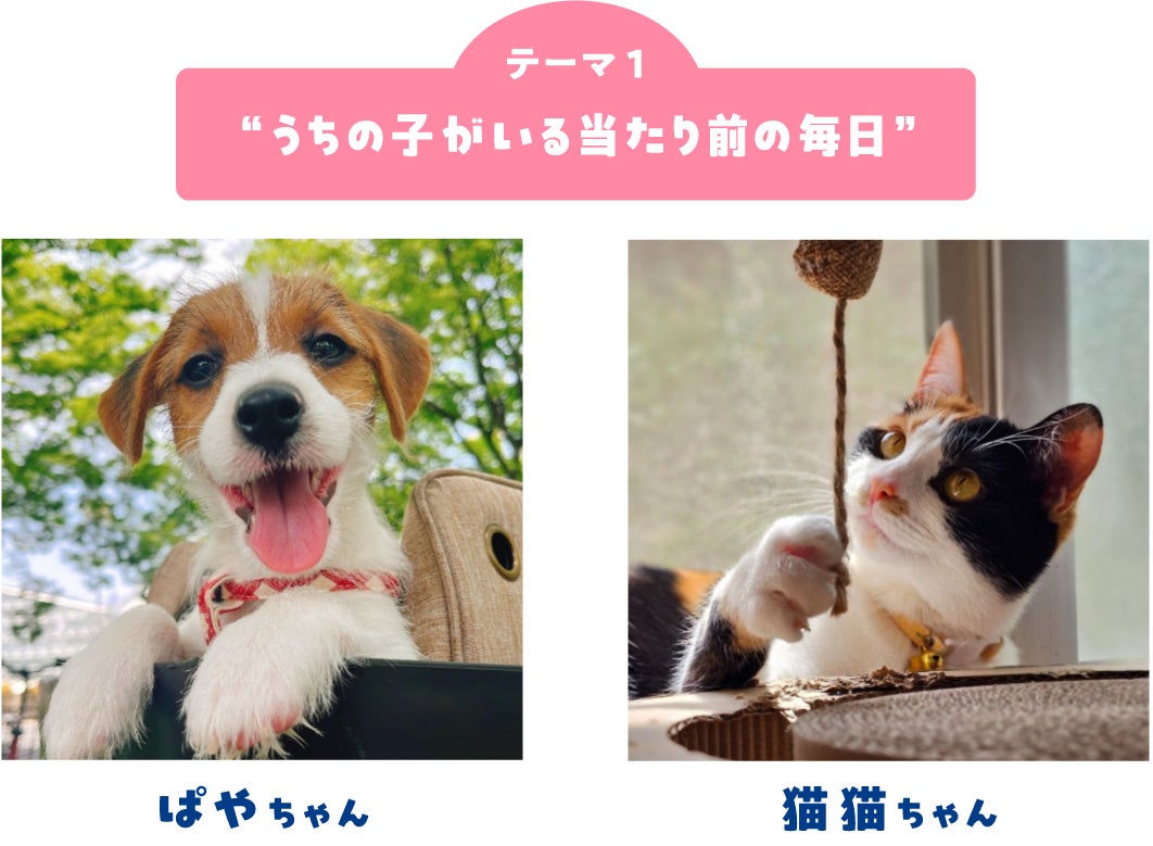 画像1: フォトコンテスト結果発表