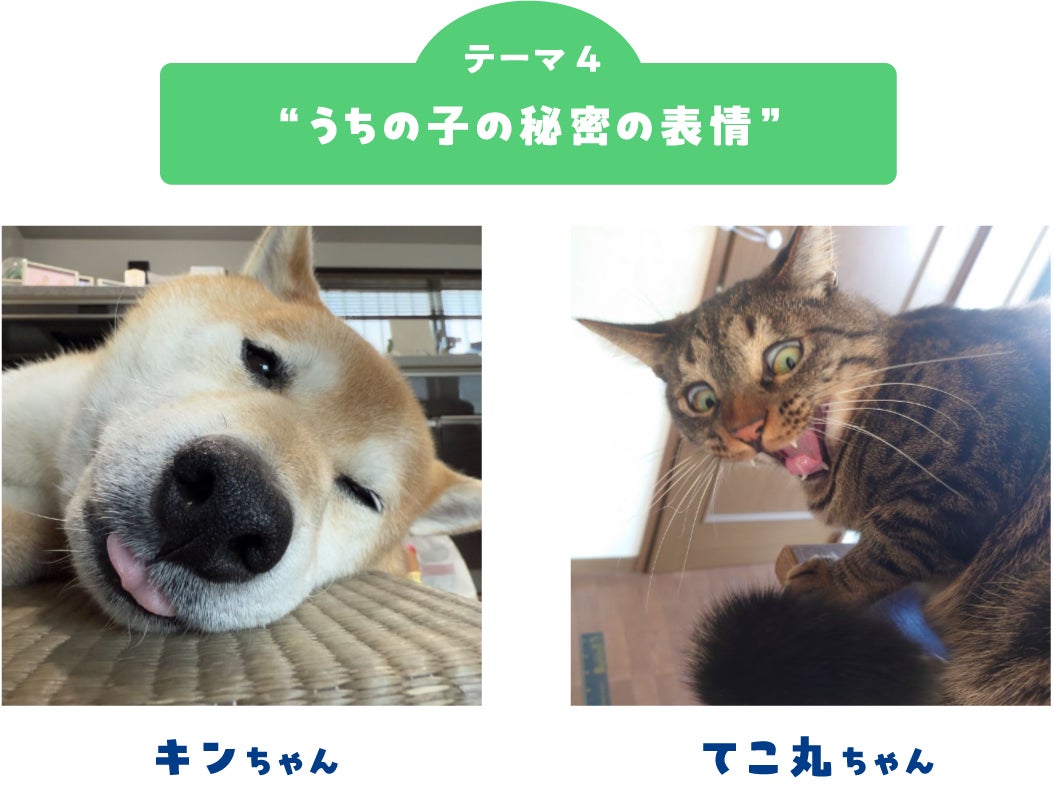 画像4: フォトコンテスト結果発表