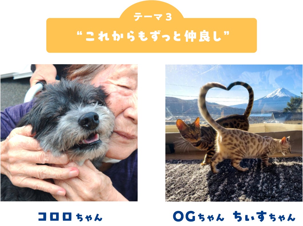 画像3: フォトコンテスト結果発表