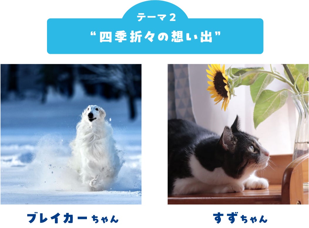 画像2: フォトコンテスト結果発表