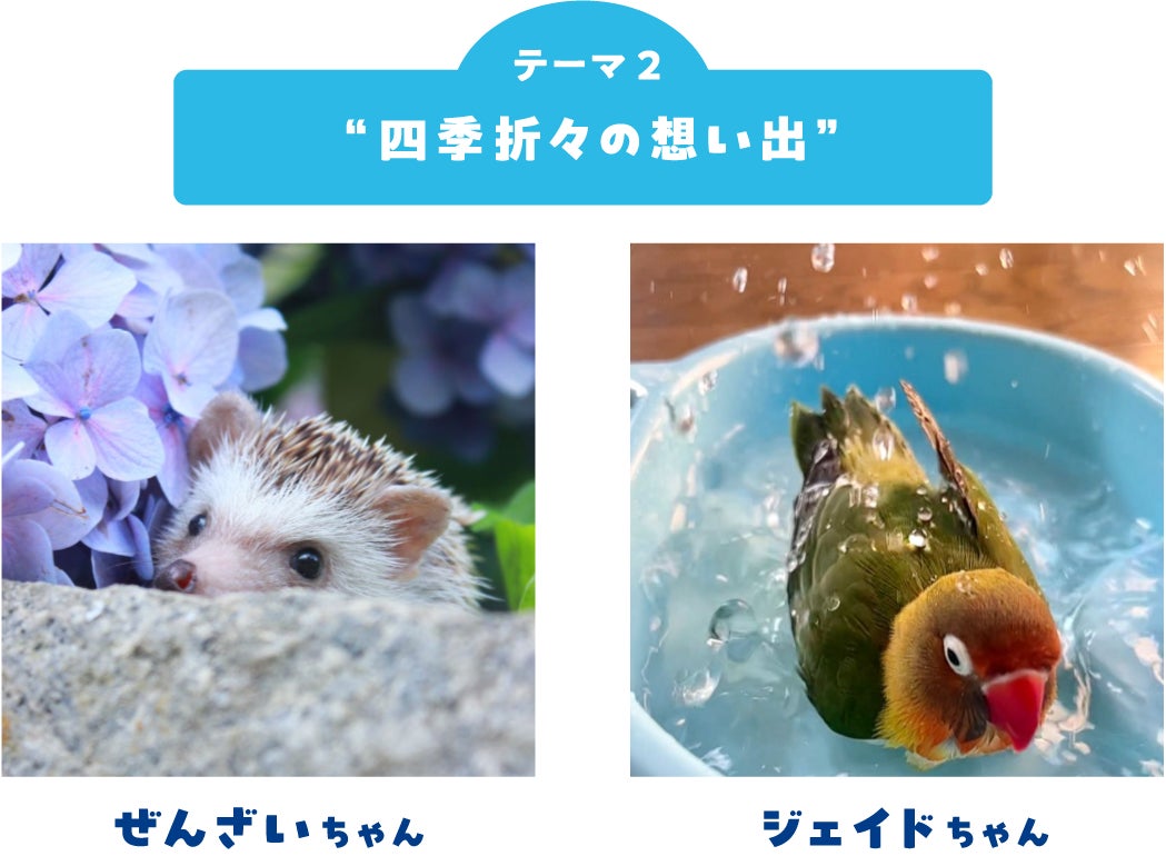 画像6: フォトコンテスト結果発表