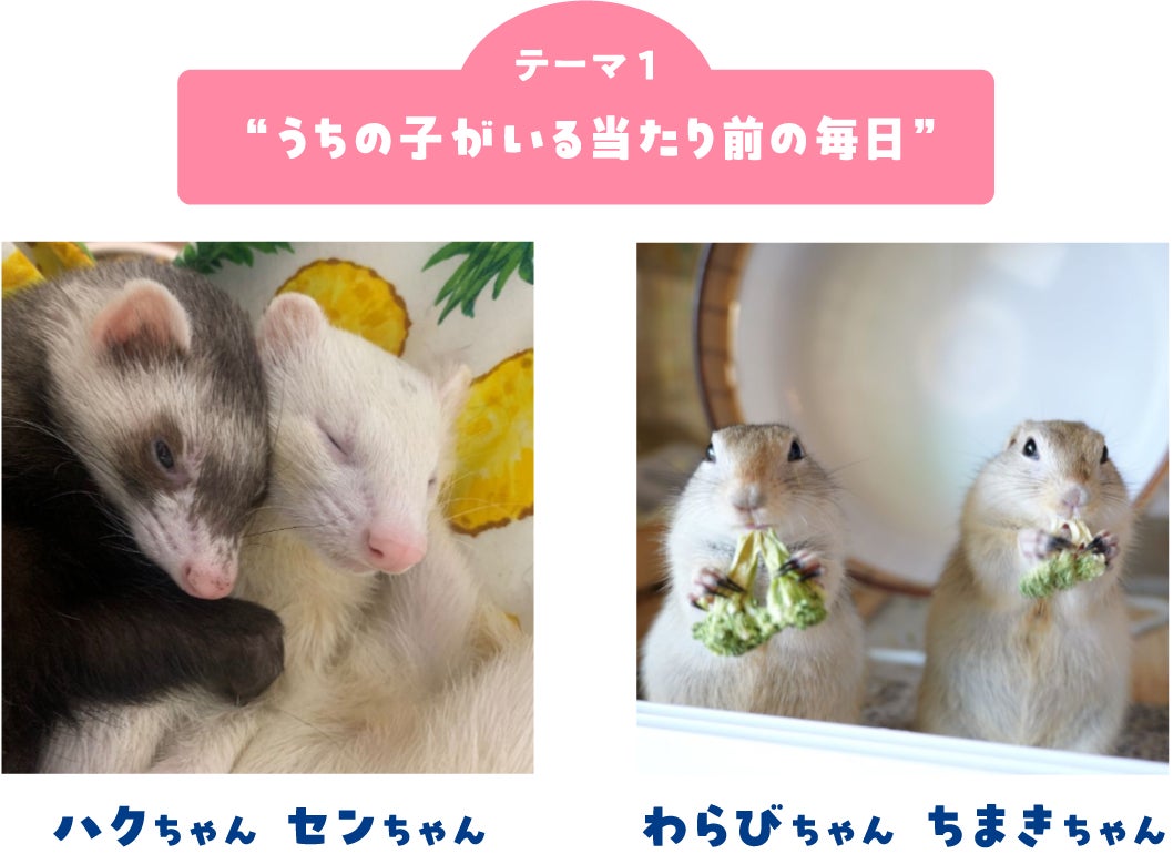 画像5: フォトコンテスト結果発表