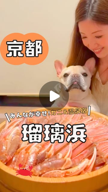 画像: Marinetopia Resort/マリントピアリゾート【公式】 on Instagram: "【保存必須】カニ好きは絶対行って！ 日本三景・天橋立で、愛犬も子供も周りを気にせず"大はしゃぎ"できる「最高の宿」を見つけました…！ ここは、大阪・神戸から約2時間で行ける全18棟「一棟貸切」のプライベートリゾートなんです。 特に冬の「カニマルシェ」が反則級… 水槽から自分で選んだブランド蟹を、お部屋で刺身・焼き・鍋・しゃぶしゃぶ…好きな食べ方で"カニ尽くし"できちゃいます しかも、なんとお酒の持ち込み自由！ プライベート宴会が最高すぎました… *.·┈┈┈*.·┈┈┈*.·┈┈┈*.·┈┈┈ ここが最高すぎた…☝ ✅全棟「一棟貸切」で周りを気にせず快適 ✅全国でも希少な「赤湯」の天然温泉が各部屋に♨️ ✅プライベートプール＆ドッグラン付きの部屋も！ ✅冬季限定「カニマルシェ」が楽しすぎ＆美味しすぎ ✅捌きたて新鮮なカニをお部屋で堪能 ✅お酒の持ち込みOKでコスパ◎ ✅朝食は選べる和洋食 *.·┈┈┈*.·┈┈┈*.·┈┈┈*.·┈┈┈ 愛犬も、小さなお子様も、家族みんなが我慢しない旅行にぴったりすぎました。 冬の贅沢旅行はここに決まり！ 「カニ食べたい！」って思ったら『』でコメントしてね 天然温泉＆プライベートSPA瑠璃浜 @rurinohama_kyoto 京都府宮津市日置3110 大阪・神戸から約2時間 ご予約・詳細はプロフィールのリンクから▼ @marinetopia__resort #マリントピアリゾート"