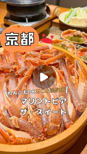 画像: Marinetopia Resort/マリントピアリゾート【公式】 on Instagram: "◀ @marinetopia__resort ご予約・お部屋の詳細はプロフィールのリンクからチェック！ 【保存必須】冬の旅行、これで完璧✨ 「子どもが騒がしいから、周りの目が気になる…」 「うちの子（わんちゃん）も一緒に連れて行きたい…」 そんな悩みで、冬の旅行を諦めていませんか？ この冬、"海の京都"で 家族みんな（愛犬も！）が気兼ねなく楽しめる 最高の宿を見つけました！ マリントピア・ザ・スイート ここがスゴイ！ポイント ① まるでカニのテーマパーク！？ 夕食は「カニマルシェ」で、 水槽からとれたての活ガニを自分で選ぶ特別体験！ （お子さまも大喜び間違いなし！） 選んだカニは、お部屋の【プライベート囲炉裏】で お刺身、焼きガニ、カニすき…と 好きな食べ方で、思う存分堪能できます。 炭火で焼いたカニの香ばしさ、たまりません… ② 周りを気にしない「完全プライベート空間」 全棟が1棟貸切のヴィラタイプ。 広いお部屋とプライベートガーデン（プール付き客室も！） だから、お子さまが元気に走り回っても、 わんちゃんがいても、まったく問題なし！ "周りに気を使う"という旅行中の 一番のストレスから解放されます ③ 24時間入り放題の「客室温泉」♨️ お部屋に温泉が付いているので、 好きな時間に、家族だけでゆっくり入れちゃいます。 カニでお腹いっぱいになった後も、朝起きてすぐも、 贅沢な湯浴みをどうぞ。 観光も、宿も、食事も、 子どもも、愛犬も、家族みんなが主役。 すべてが叶う冬の贅沢旅行、 「マリントピア・ザ・スイート」で体験しませんか？ 動画で紹介したプランはこちら ＝＝＝＝＝＝＝＝＝＝＝＝＝＝＝ 【冬季限定】活ガニフルコースプラン （2026年3月20日まで） 1泊2食付き お一人様 31,350円〜 ＝＝＝＝＝＝＝＝＝＝＝＝＝＝＝ 「ここ行きたい！」 「冬休みの候補にしよう！」 と思ったら、忘れないように【保存】がおすすめです！ #カニ旅行 #犬と泊まれる宿 #子連れ旅行 #プライベートヴィラ #海の京都 #マリントピアリゾート"