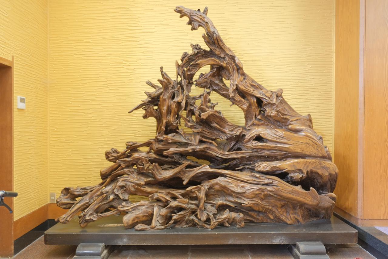 画像 : 12番目の画像 - 山下家 - カワコレメディア